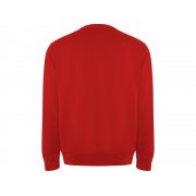 Свитшот из органического хлопка «Batian», унисекс арт. 1071SU60