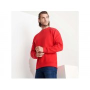 Свитшот из органического хлопка «Batian», унисекс