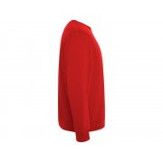 Свитшот из органического хлопка «Batian», унисекс арт. 1071SU60