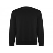 Свитшот из органического хлопка «Batian», унисекс арт. 1071SU02