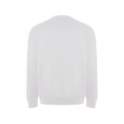 Свитшот из органического хлопка «Batian», унисекс арт. 1071SU01