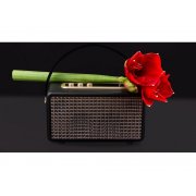 Портативная акустика «Mysound Drive»