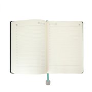 Ежедневник недатированный Boomer, А5, бирюзовый, кремовый блок в линейку, без обреза Бирюзовый