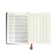 Ежедневник недатированный Boomer, А5, красный, кремовый блок в линейку, без обреза Красный