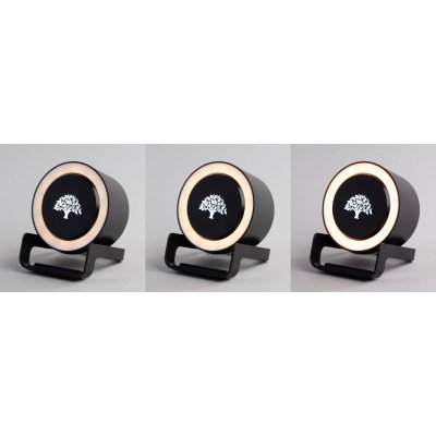 Bluetooth колонка-подставка "Smart Loud" с беспроводным (10W) зарядным устройством, лампой и подсветкой логотипа черный