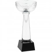 Кубок Cupture, средний арт. 15612.02