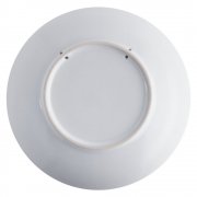 Тарелка наградная «Бизнес-зодиак. Близнецы» арт. 7327.03