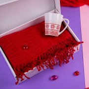 Набор подарочный NATIVE PASSION: плед, кружка, коробка, красный красный арт. 35020/08 Набор подарочный NATIVE PASSION: плед, кружка, коробка, красный красный арт. 35020/08