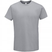 Футболка Regent 150, серая арт. 11380342