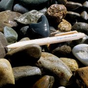 Ручка из биоразлагаемой пшеничной соломы Melanie, белая