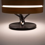 Интерьерная лампа с колонкой и беспроводной зарядкой Aronda арт. 45005.19