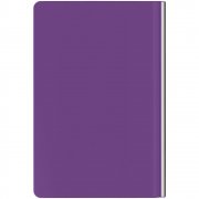 Ежедневник Aspect, недатированный, фиолетовый арт. 16886.70