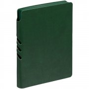 Ежедневник Flexpen Color, датированный, зеленый арт. 15061.90