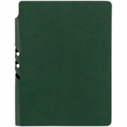 Ежедневник Flexpen Color, датированный, зеленый арт. 15061.90