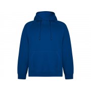 Толстовка с капюшоном «Vinson» унисекс арт. 1074SU05