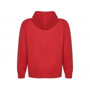 Толстовка с капюшоном «Vinson» унисекс