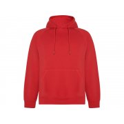 Толстовка с капюшоном «Vinson» унисекс арт. 1074SU60