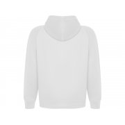 Толстовка с капюшоном «Vinson» унисекс арт. 1074SU01