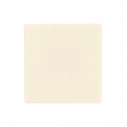 Печенье Dream White в белом шоколаде, квадрат арт. 17610.03 Печенье Dream White в белом шоколаде, квадрат арт. 17610.03