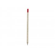 «Растущий карандаш» с семенами гвоздики