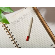 «Растущий карандаш» mini с семенами паприки