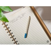 «Растущий карандаш» mini с семенами ели голубой