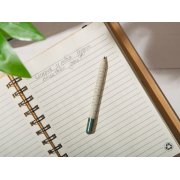 «Растущий карандаш» mini с семенами базилика