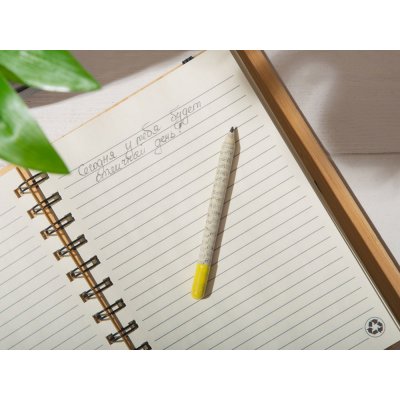 «Растущий карандаш» mini с семенами акации серебристой
