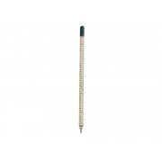 «Растущий карандаш» с семенами мяты