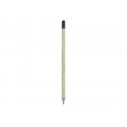 «Растущий карандаш» с семенами базилика