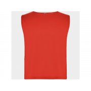 Спортивная безрукавка «Ajax», унисекс