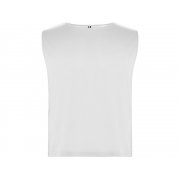 Спортивная безрукавка «Ajax», унисекс арт. 414PT01