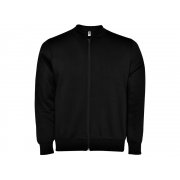 Толстовка на молнии «Elbrus», мужская арт. 1103CQ02