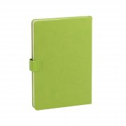 Ежедневник недатированный "Монти", формат А5 зеленое яблоко