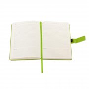 Ежедневник недатированный "Монти", формат А5 зеленое яблоко