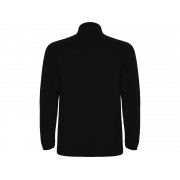 Свитшот из микрофлиса «Himalaya» мужской арт. 109502