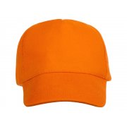 Бейсболка «Florida 350»