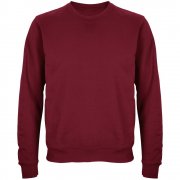 Свитшот унисекс Columbia, бордовый арт. 03814146 Свитшот унисекс Columbia, бордовый арт. 03814146