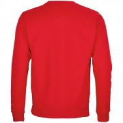 Свитшот унисекс Columbia, красный арт. 03814161