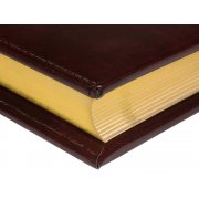 Ежедневник полудатированный А5 «Windsor»