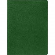 Ежедневник в суперобложке Brave Book, недатированный, зеленый