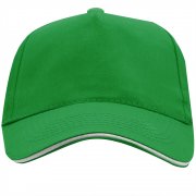 Бейсболка 5-панельная ERIS, Папоротниковый арт. GO701990226