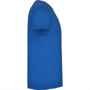 Футболка SAMOYEDO мужская, КОРОЛЕВСКИЙ СИНИЙ XXL арт. CA65030505