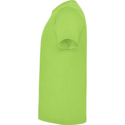 Футболка DOGO PREMIUM мужская, СВЕТЛО-ЗЕЛЕНЫЙ 3XL арт. CA650206114