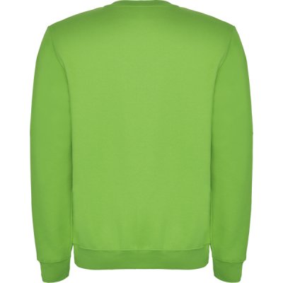 Джемпер CLASICA унисекс, СВЕТЛО-ЗЕЛЕНЫЙ 2XL арт. SU107005114