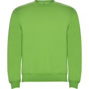 Джемпер CLASICA унисекс, СВЕТЛО-ЗЕЛЕНЫЙ 2XL арт. SU107005114