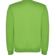 Джемпер CLASICA унисекс, СВЕТЛО-ЗЕЛЕНЫЙ 2XL арт. SU107005114