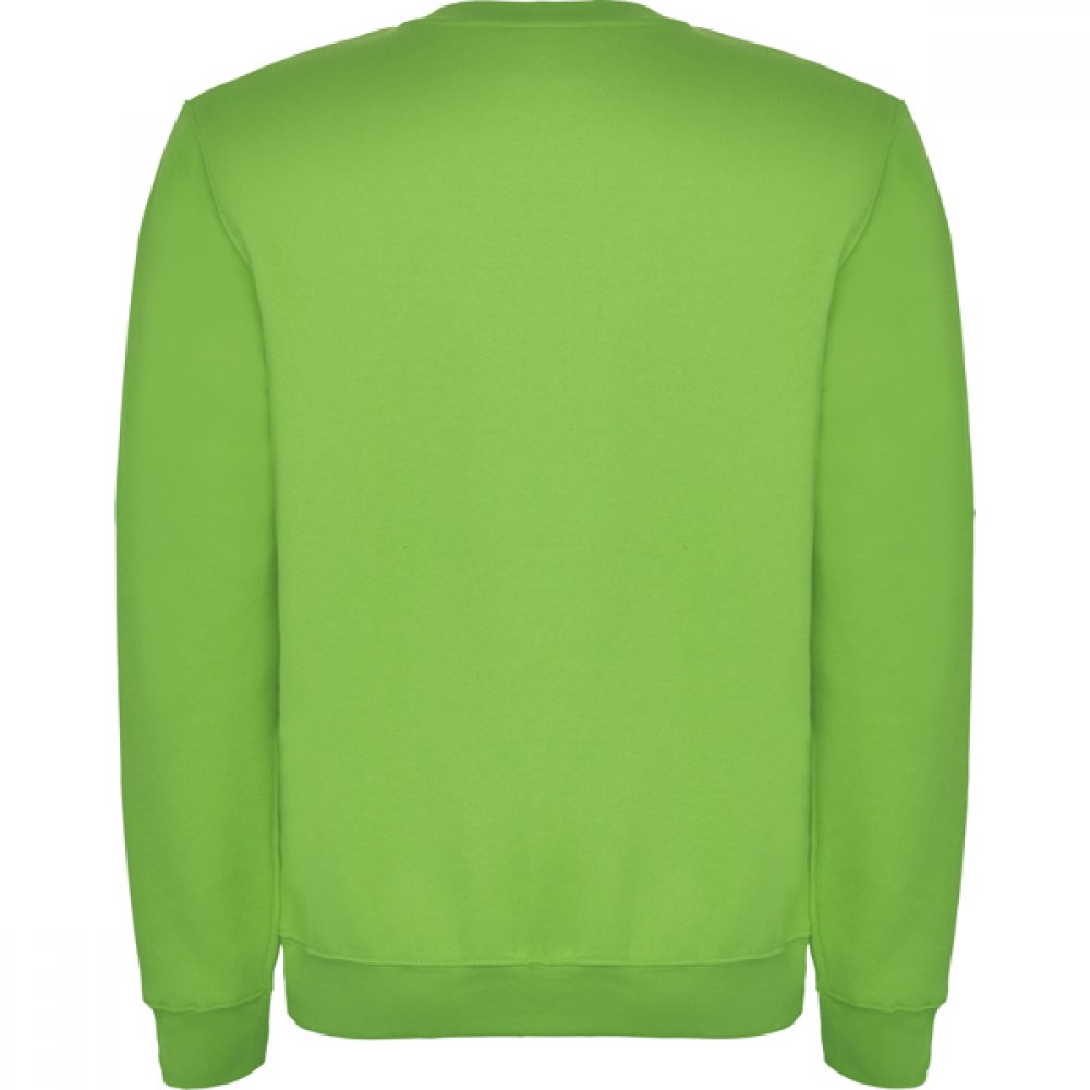 Джемпер CLASICA унисекс, СВЕТЛО-ЗЕЛЕНЫЙ XL арт. SU107004114 Джемпер CLASICA унисекс, СВЕТЛО-ЗЕЛЕНЫЙ XL арт. SU107004114