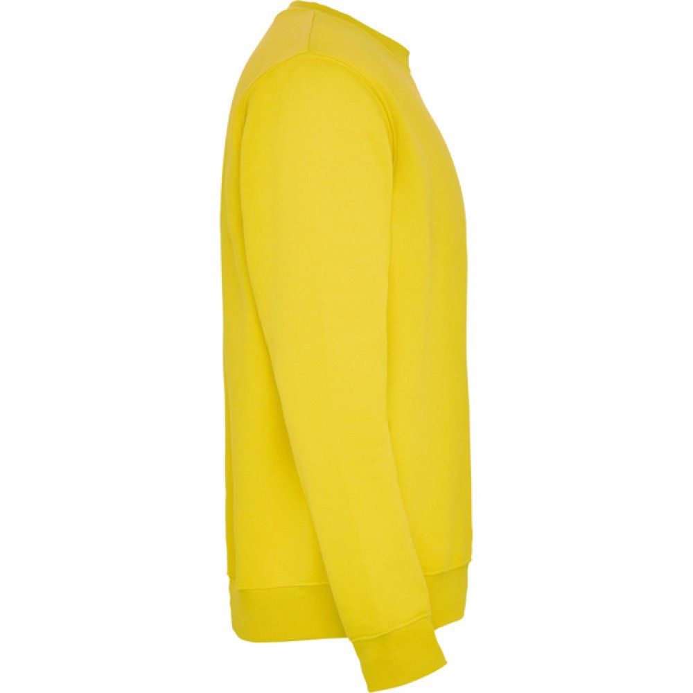 Джемпер CLASICA унисекс, ЖЕЛТЫЙ XL арт. SU10700403 Джемпер CLASICA унисекс, ЖЕЛТЫЙ XL арт. SU10700403