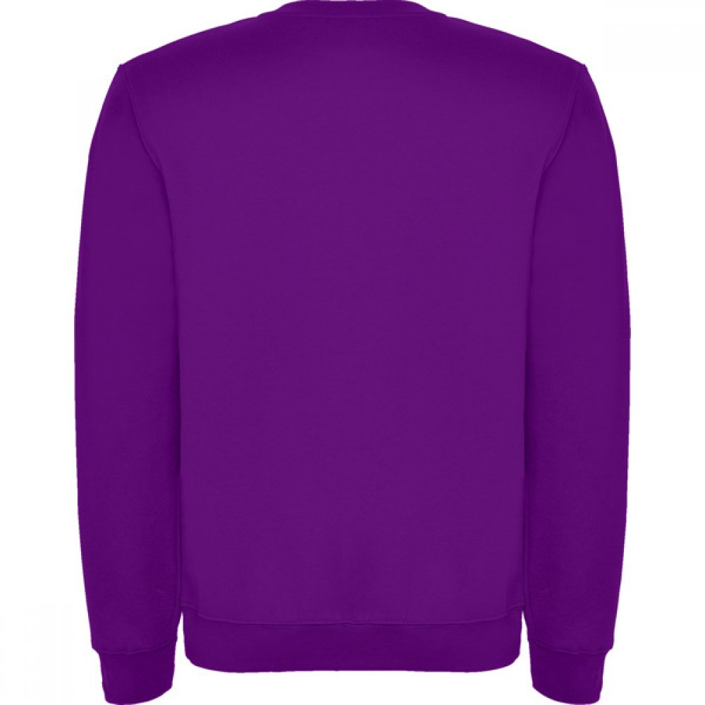 Джемпер CLASICA унисекс, ФИОЛЕТОВЫЙ L арт. SU10700371 Джемпер CLASICA унисекс, ФИОЛЕТОВЫЙ L арт. SU10700371